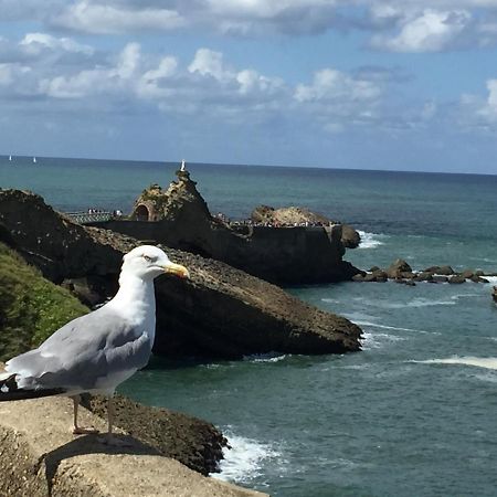 Charmant T2 Biarritz Centre Экстерьер фото