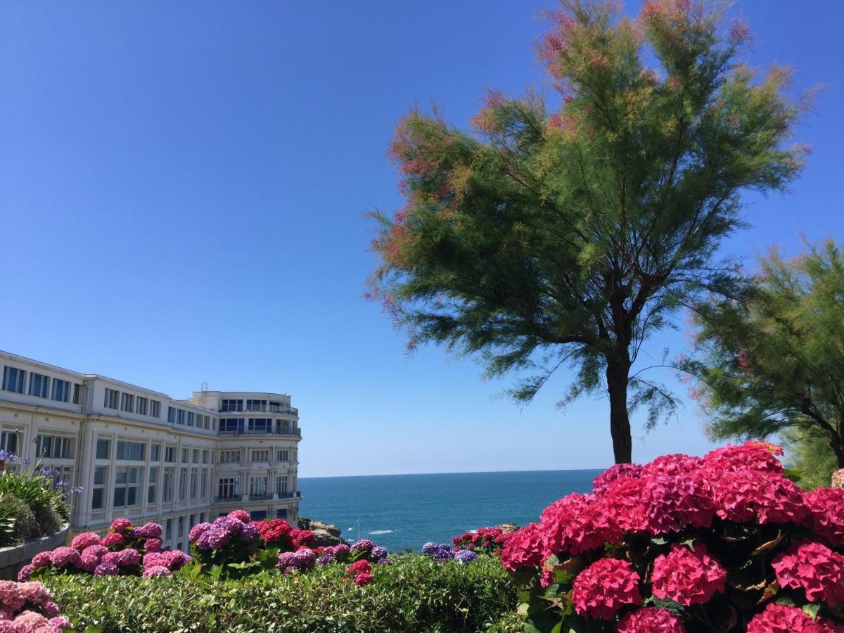 Charmant T2 Biarritz Centre Экстерьер фото